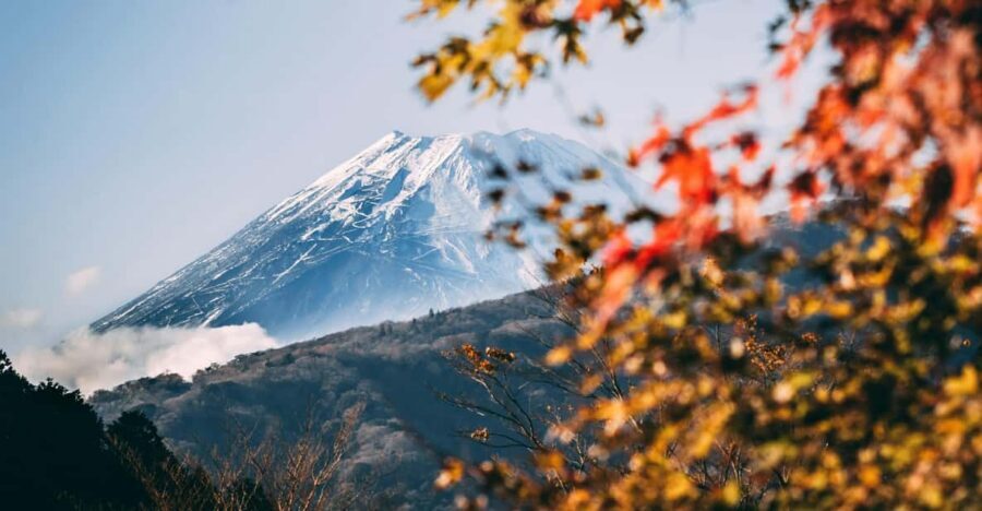 1-Day Mt Fuji and Hakone Sightseeing trip from Tokyo - Key things I’d zero in on
