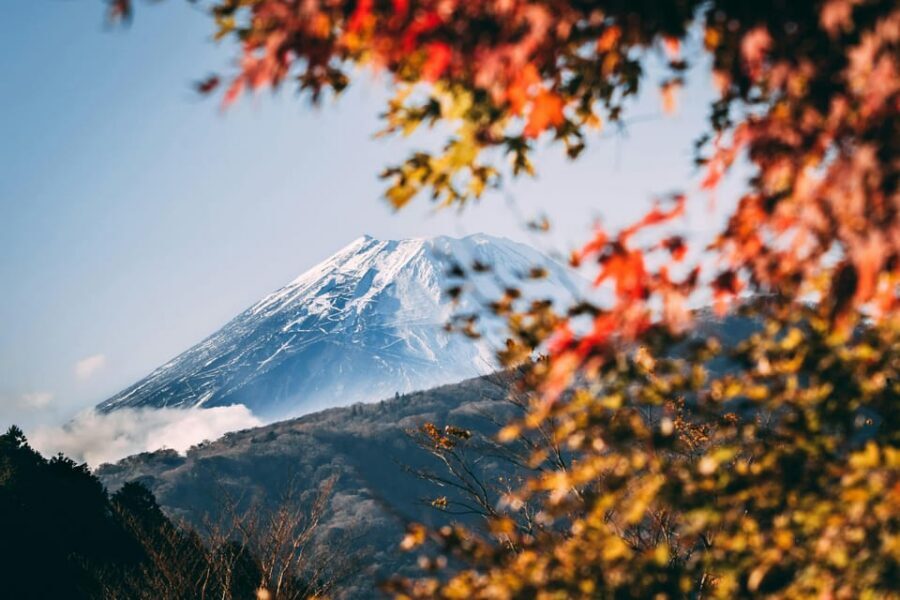 1-Day Mt Fuji and Hakone Sightseeing trip from Tokyo - Entering the Fuji-and-Hakone loop from Tokyo