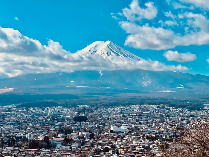 1-Day Mt Fuji and Hakone Sightseeing trip from Tokyo - Oishi Park: shopping, viewpoints, and time to breathe