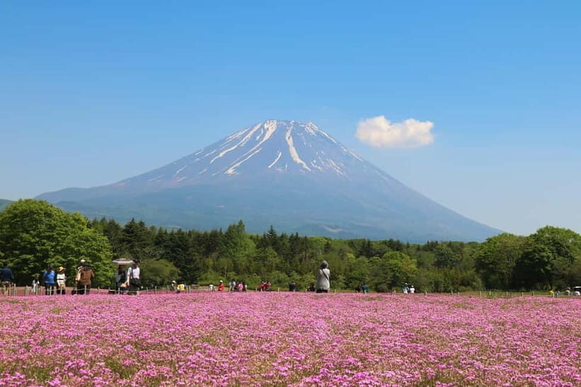 1-Day Mt Fuji and Hakone Sightseeing trip from Tokyo - Hakone Shrine: ending with culture, not just scenery