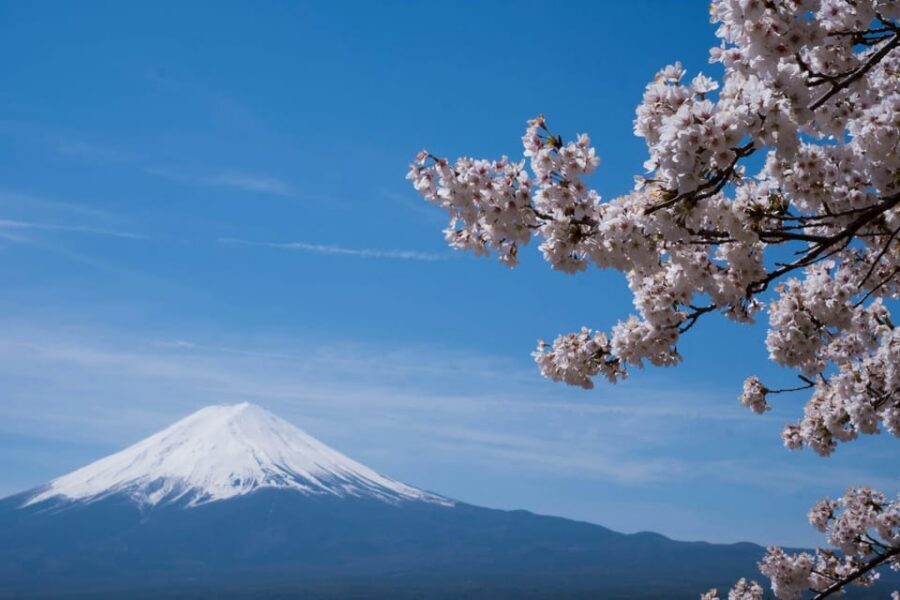 1-Day Mt Fuji and Hakone Sightseeing trip from Tokyo - Price and logistics: what $322 really covers