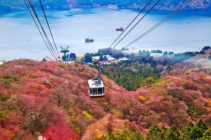 1 Day Private Tour to Hakone-Gotemba With English Speaking Driver - Price and logistics: what you’re really paying for