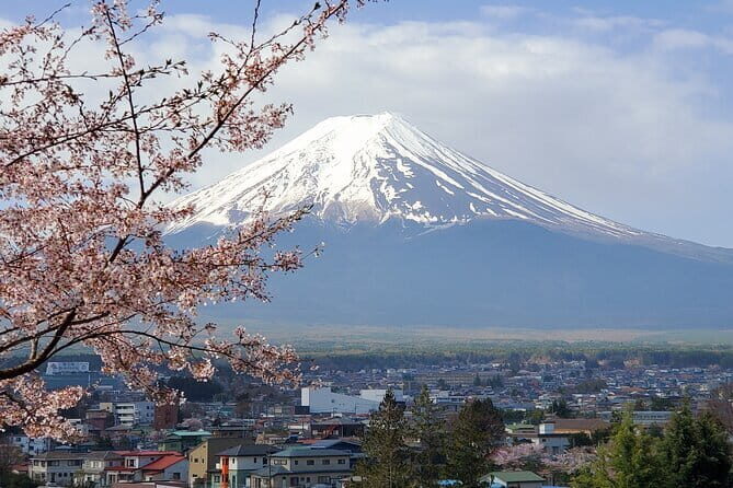 2 Days Tokyo ,Mount Fuji / Hakone Private Tour from Tokyo - Key Things I’d Pay Attention To