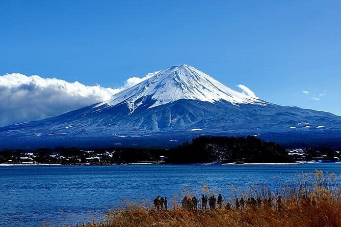 2 Days Tokyo ,Mount Fuji / Hakone Private Tour from Tokyo - A Two-Day Private Plan: Tokyo Highlights Plus Hakone’s Fuji Views