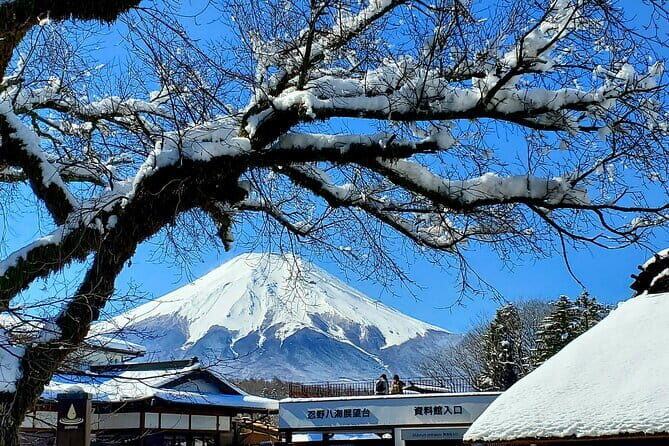 2 Days Tokyo ,Mount Fuji / Hakone Private Tour from Tokyo - Day 2 to Hakone: Chureito Pagoda Framing Mt. Fuji
