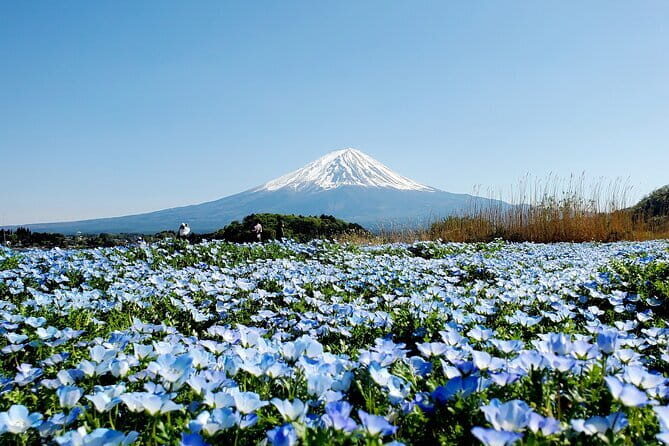 3 Days Tokyo, Mt. Fuji and Hakone Private Tour from Tokyo - Key things I’d circle before you book