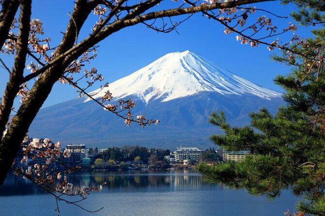 Best Mt Fuji and Hakone Full-Day Bus Tour from Tokyo - Key things to know before you go