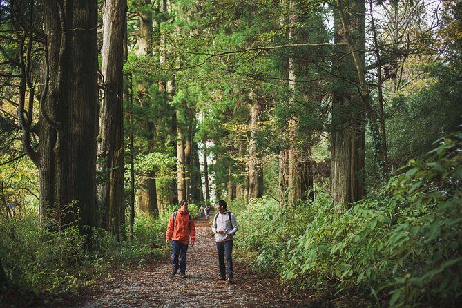 Custom Private Tour in Hakone with a Certified Local Guide - Start point and pickup: Hakone-Yumoto meets Odawara