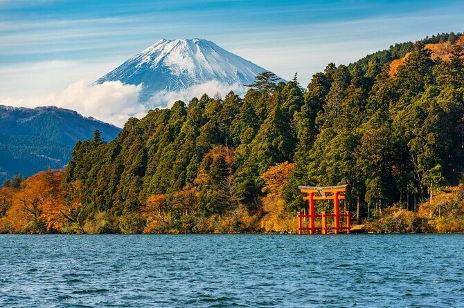 Customizable Private Full Day Hakone Tour by car - Key reasons to choose this Hakone car tour