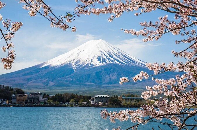 Day Trip To Mount Fuji and Hakone from Tokyo with English Guide - Stop 2: Oshino Hakkai and its eight spring ponds