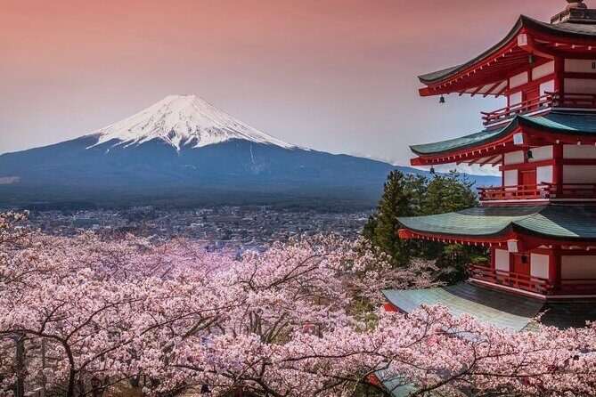 Day Trip To Mount Fuji and Hakone from Tokyo with English Guide - Stop 1: Chureito Pagoda in Arakurayama Sengen Park