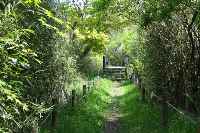 Easygoing Nature Walk in Hakone Tour - Key Highlights Worth Your Time