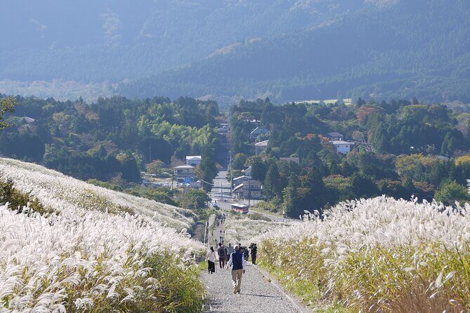 Easygoing Nature Walk in Hakone Tour - A Gentle Hakone Nature Walk That Doesn’t Beat You Up