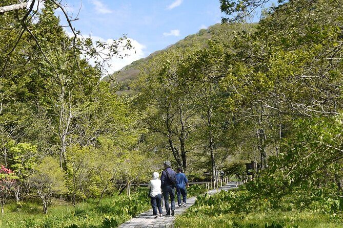 Easygoing Nature Walk in Hakone Tour - Price and Value: What $39.19 Gets You in Hakone Time
