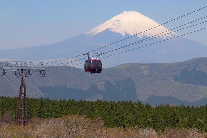 Exciting Hakone - One Day Tour from Tokyo - Price and What You Still Pay for