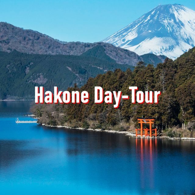 From Tokyo: 10-hour Hakone Private Custom Tour - Planning Your Tokyo Pickup and Drop-Off Like a Pro