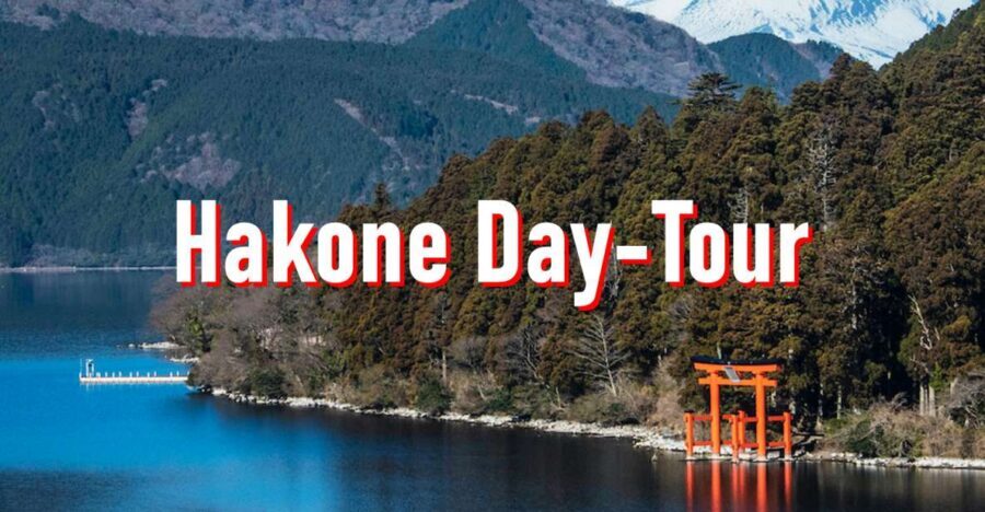 From Tokyo: 10-hour Hakone Private Custom Tour - The Optional English-Speaking Guide: When It’s Worth It