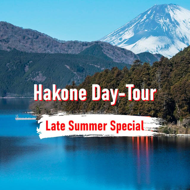 From Tokyo: 10-hour Hakone Private Custom Tour - Price and What It Really Buys (Up to 3 People)