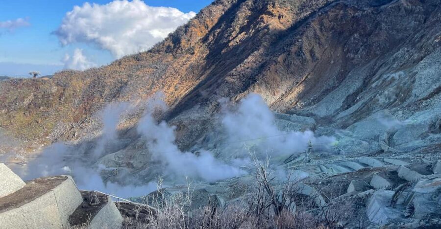 From Tokyo: Hakone Full Day Customizable Private Tour - Quick take