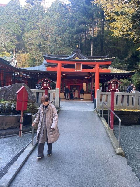 From Tokyo: Hakone Full Day Customizable Private Tour - The Easy Pickup From Tokyo (And Why Timing Matters)