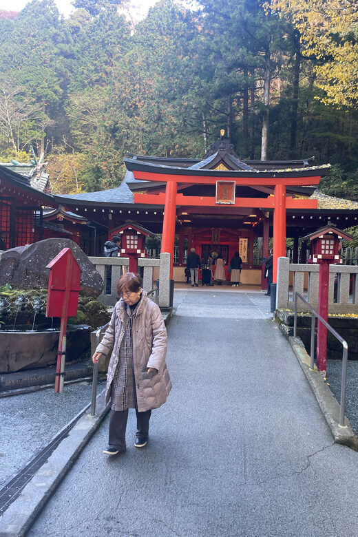 From Tokyo: Hakone Full Day Customizable Private Tour - Hakone Shrine: A Calm Start With Real Photo Stops