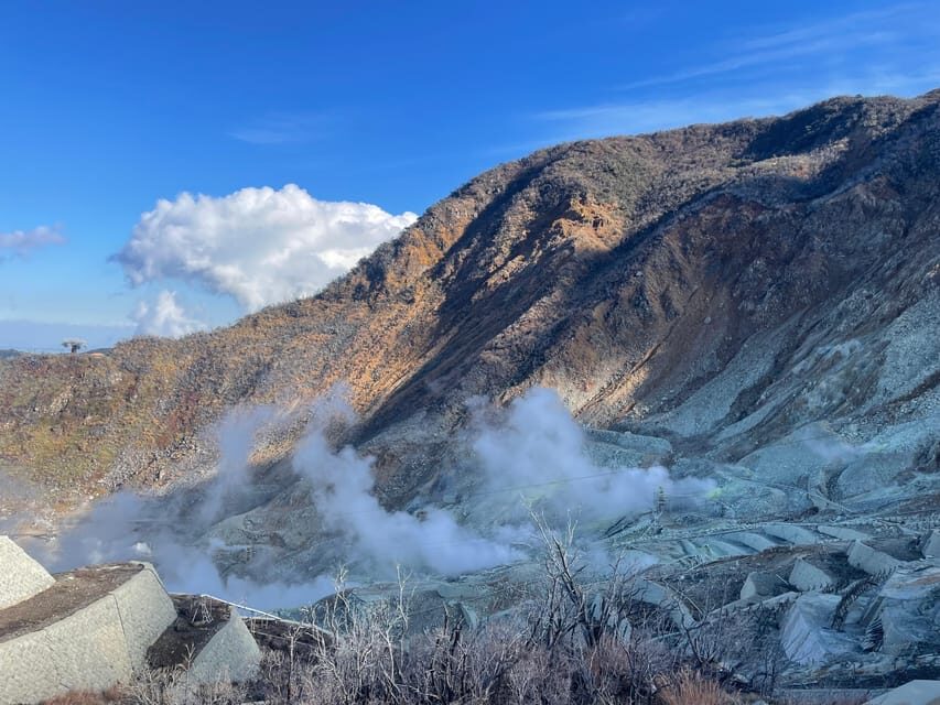 From Tokyo: Hakone Full Day Customizable Private Tour - Hakone Open-Air Museum: Art With Mountain Air