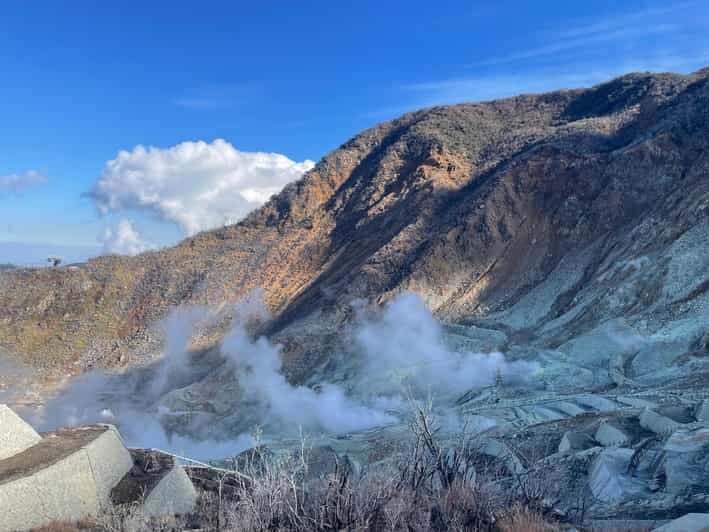 From Tokyo: Hakone Full Day Customizable Private Tour - Price and Logistics: What $325 Per Group Buys You