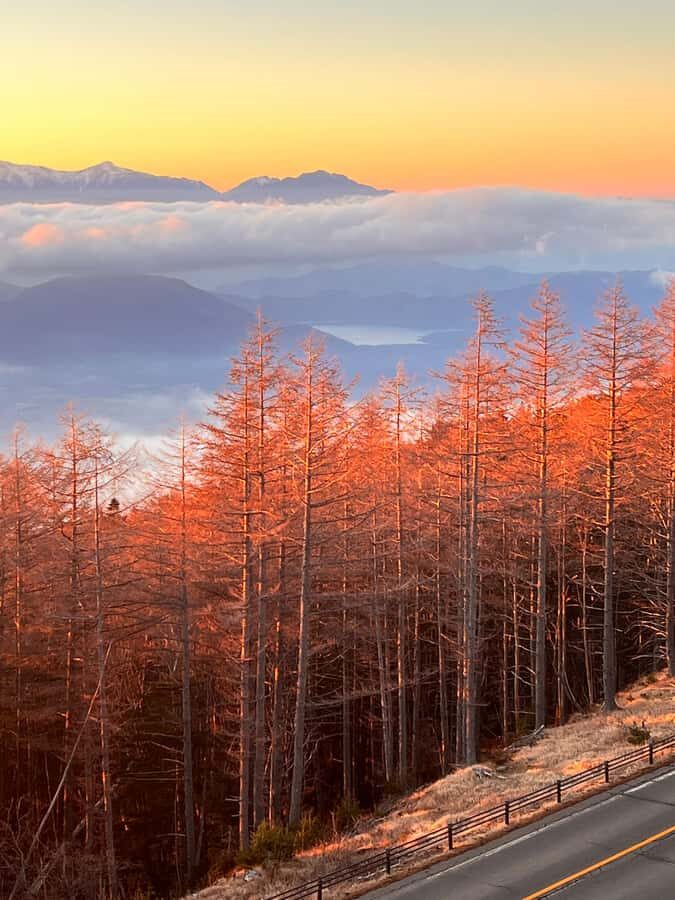 From Tokyo: Mount Fuji and Hakone Private Day Trip - Key Highlights You’ll Actually Care About