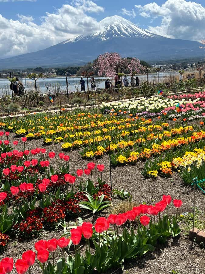 From Tokyo: Mount Fuji and Hakone Private Day Trip - Price and Value: What $438 Per Group Really Means
