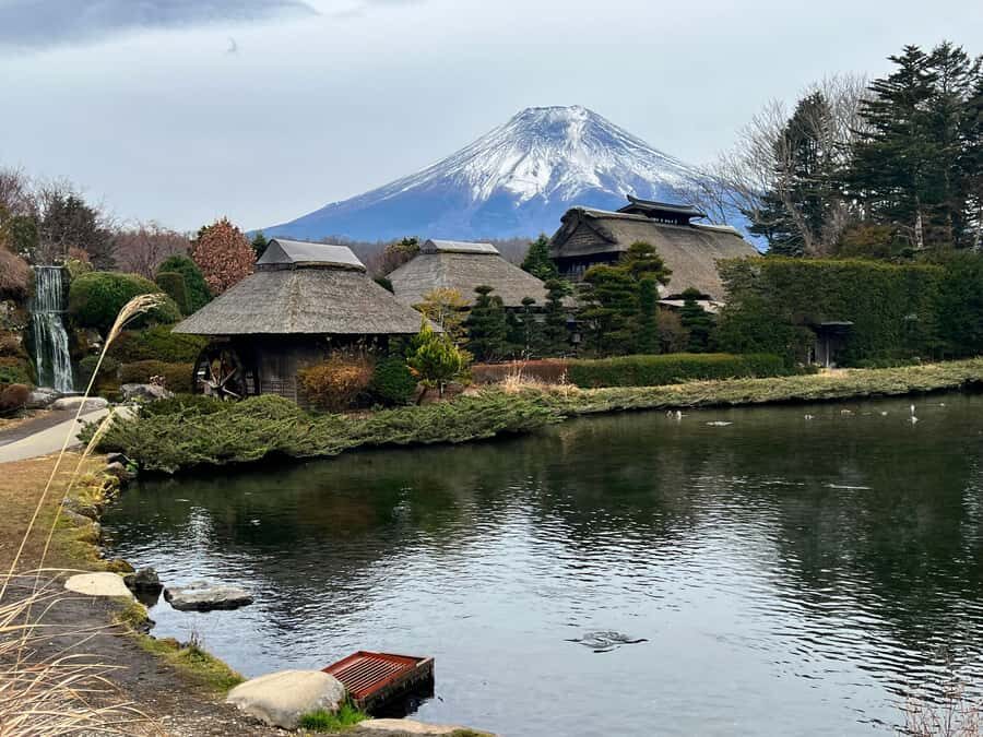 From Tokyo: Mount Fuji and Hakone Private Day Trip - From Tokyo to Fuji and Hakone in One Long Day