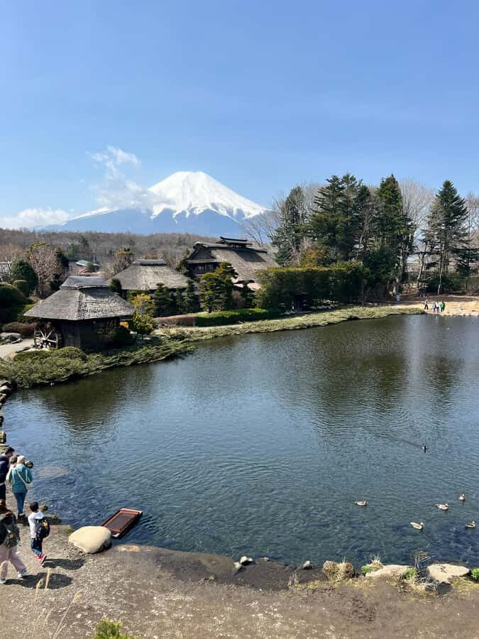 From Tokyo: Mount Fuji and Hakone Private Day Trip - Hakone National Park’s Volcanic Zone: Owakudani and Hot Spring Scenery