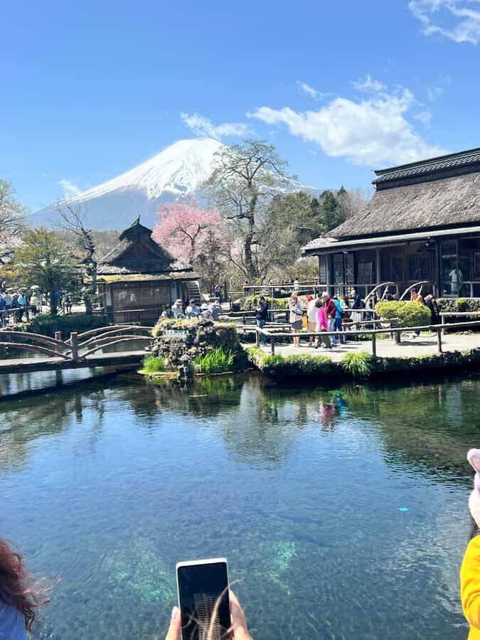 From Tokyo: Mount Fuji and Hakone Private Day Trip - Hakone Open Air Museum: Art and Gentle Hills