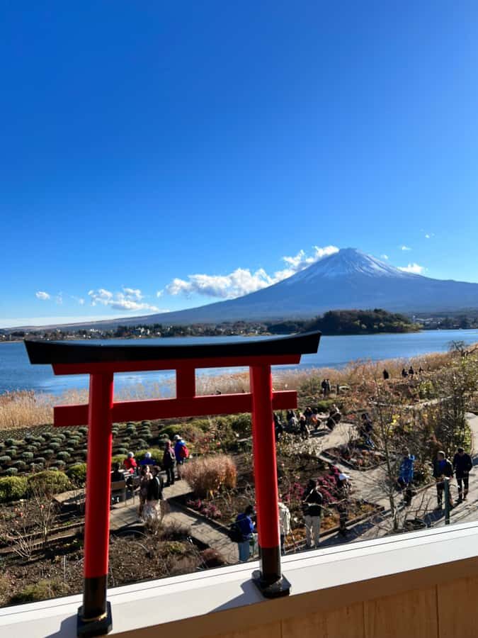 From Tokyo: Mount Fuji and Hakone Private Day Trip - Weather Strategy: When Fuji is Cloudy, You Still Win