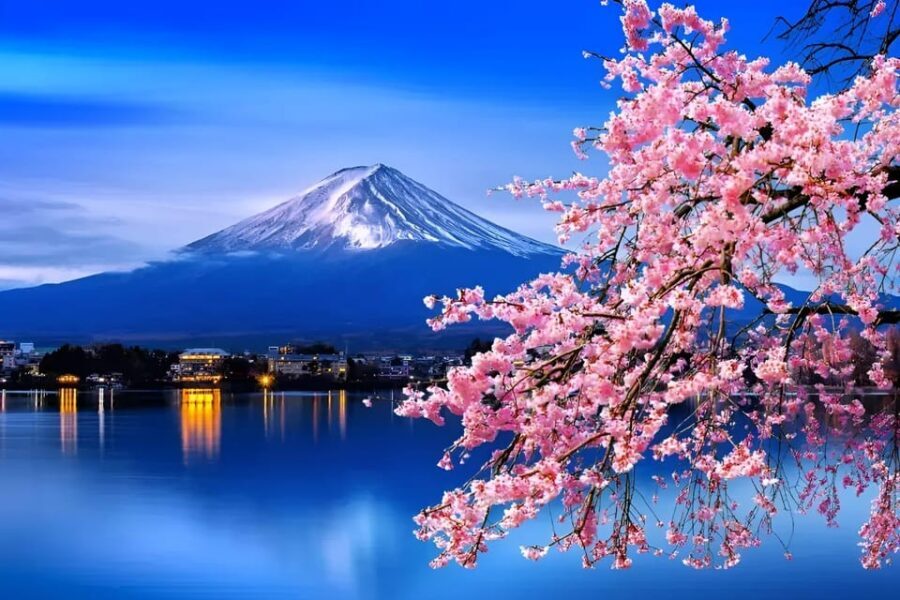 From Tokyo: Mount Fuji & Hakone Full Day Private Tour - Key highlights you’ll actually care about