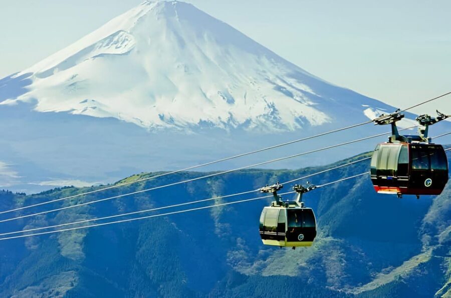 From Tokyo: Mount Fuji & Hakone Full Day Private Tour - Fuji Subaru Line 5th Station: the altitude hit and the parking fee
