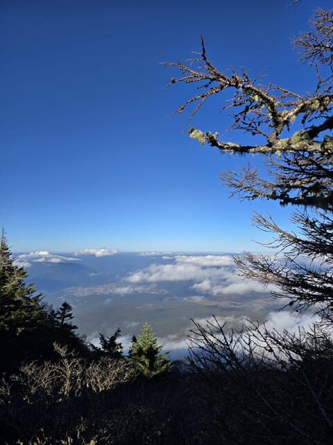 From Tokyo: Mount Fuji & Hakone Full Day Private Tour - Lake Kawaguchi break: boats, cable car rides, and Fuji angles