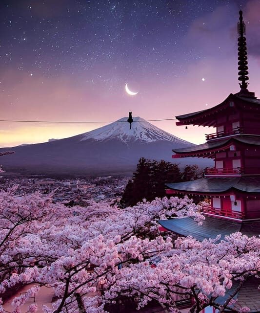 From Tokyo: Mount Fuji & Hakone Full Day Private Tour - Owakudani Valley and Lake Ashi: Hakone’s dramatic chemistry