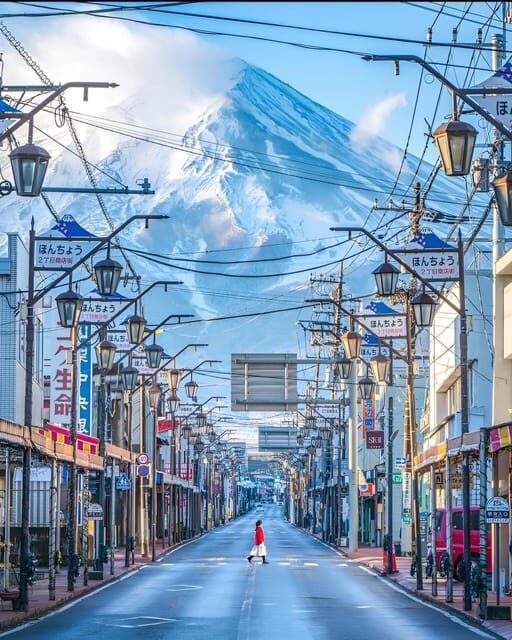 From Tokyo: Mount Fuji & Hakone Full Day Private Tour - Bonus stop options: Saiko and bat cave style sightseeing