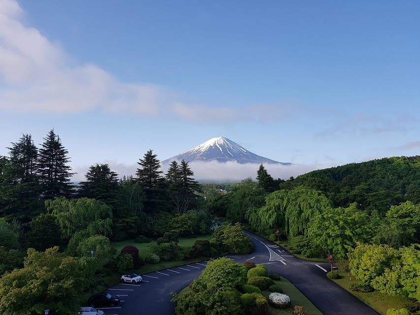 From Tokyo: Mt. Fuji And Hakone Private Sightseeing Day Trip - Key Things You’ll Really Like About This Private Day Trip