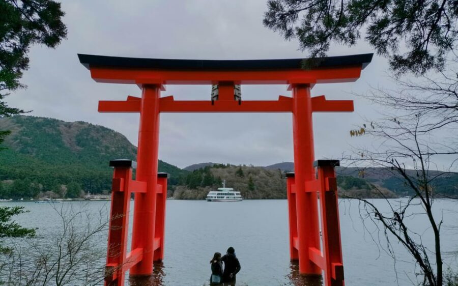 From Tokyo: Mt. Fuji And Hakone Private Sightseeing Day Trip - Price and Value: What $419 Covers, What Adds Up
