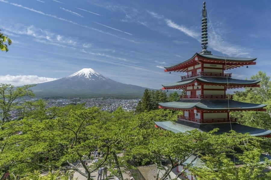 From Tokyo: Mt. Fuji And Hakone Private Sightseeing Day Trip - Oshino Hakkai and Saiko Iyashi-no-Sato Nenba: Fuji Snowmelt Water Meets Old-Style Japan