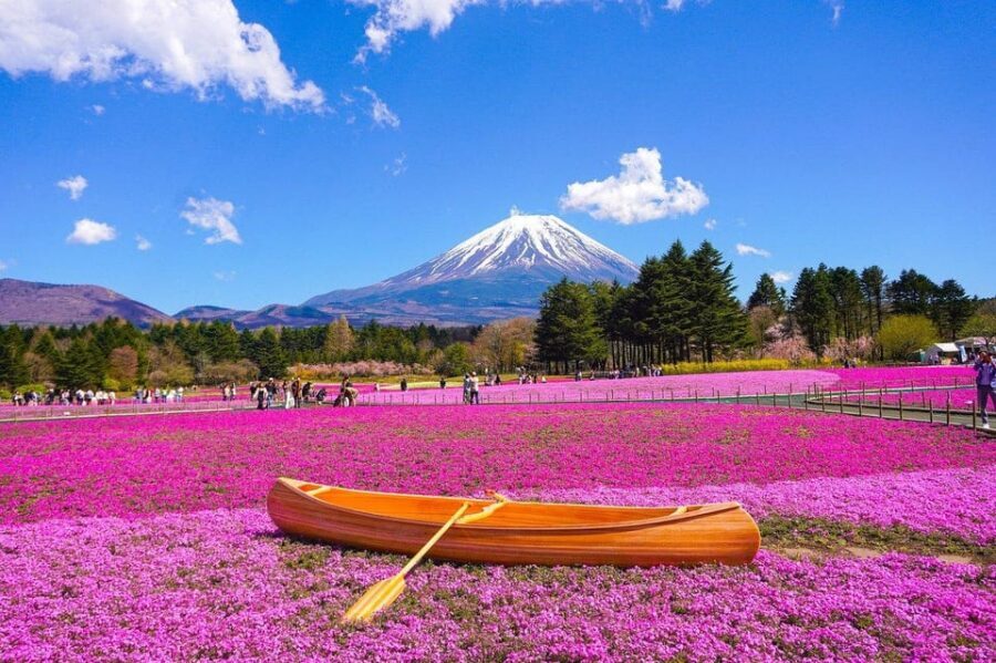 From Tokyo: Mt. Fuji And Hakone Private Sightseeing Day Trip - Hakone Ropeway, Lake Ashi Cruise, and the Open Air Museum