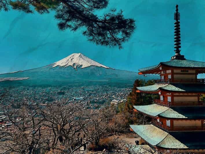 From Tokyo: Mt. Fuji And Hakone Private Sightseeing Day Trip - Choosing Between the Fuji-Five Lakes Day and the Hakone Hot Springs Day