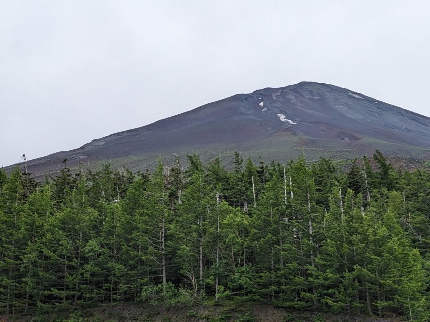 From Tokyo: Mt. Fuji & Hakone Tour w/ Return by Bullet Train - Lake Ashi cruise: when Fuji shows up, it’s magic