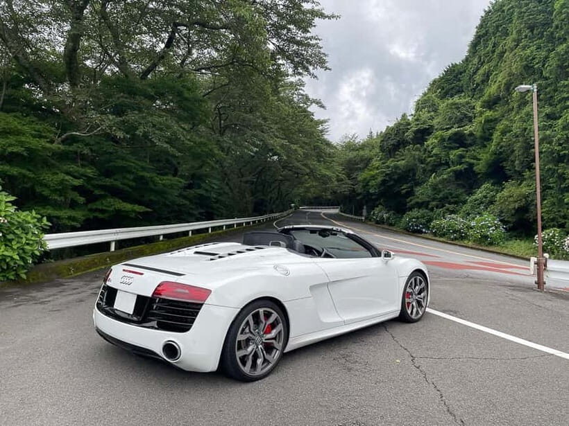 From Tokyo: Private JDM/Sports Car Tour to Mt Fuji & Hakone - Hakone Turnpike: When the Road Is Part of the Attraction
