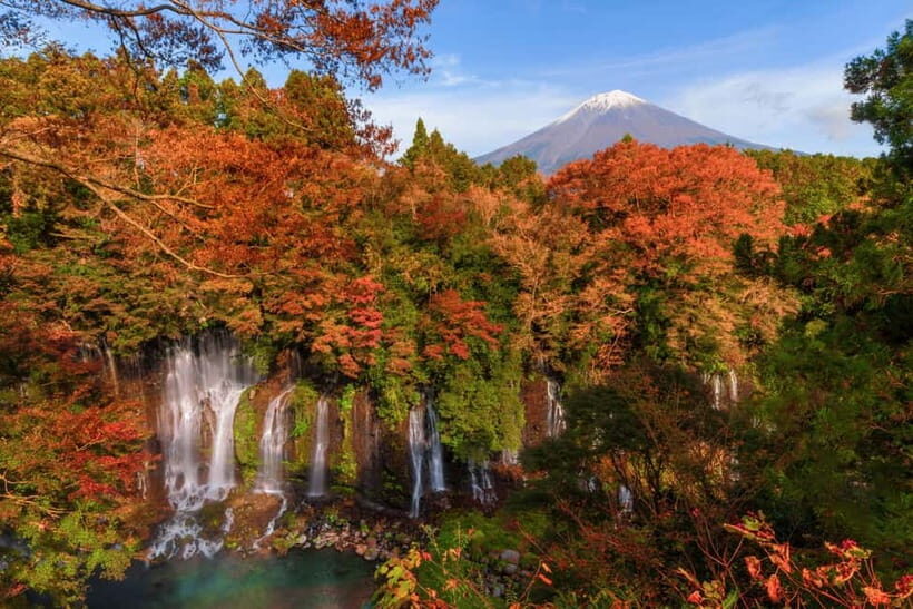 From Tokyo: Private Motorcycle Tour - Fuji, Hakone, Onsen - Hakone Open-Air Museum and Pola Museum of Art: culture without dragging the day