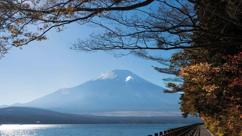 From Tokyo: Private Mt. Fuji and Hakone Tour by Car - Why This Private Mt. Fuji and Hakone Tour Feels Easier Than Public Transport