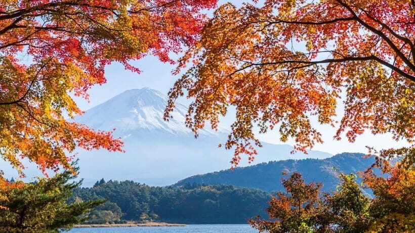 From Tokyo: Private Mt. Fuji and Hakone Tour by Car - Owakudani Valley: Steam Vents and the Black Egg Experience