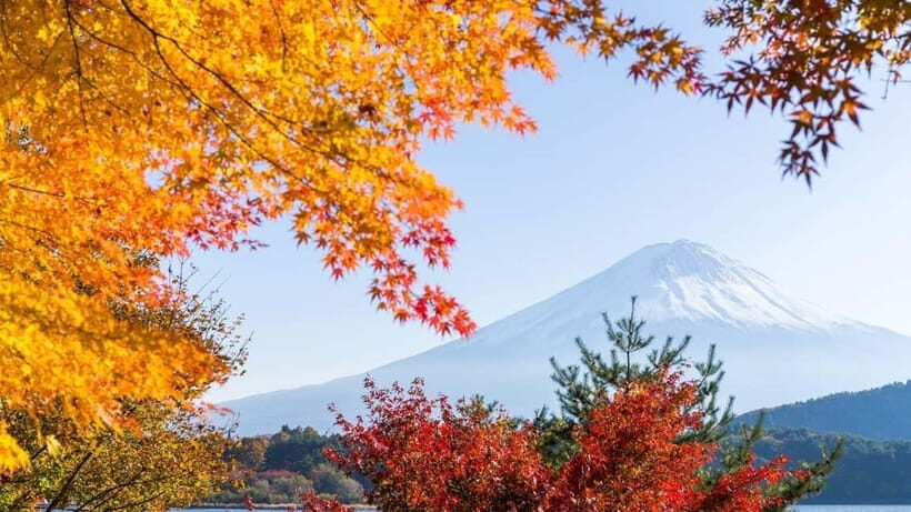 From Tokyo: Private Mt. Fuji and Hakone Tour by Car - Hakone Open-Air Museum: Art + Mountain Air (and a Cable Car Ride)