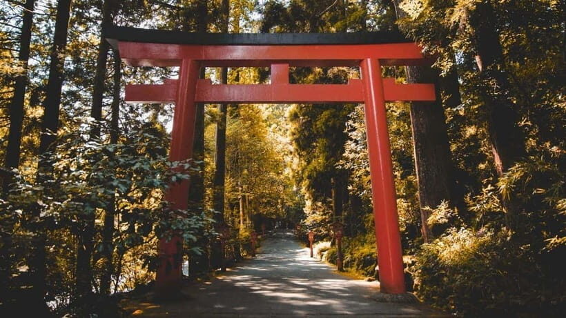From Tokyo: Private Mt. Fuji and Hakone Tour by Car - Gotemba Premium Outlets: Shopping Time Without the Stress of Transit